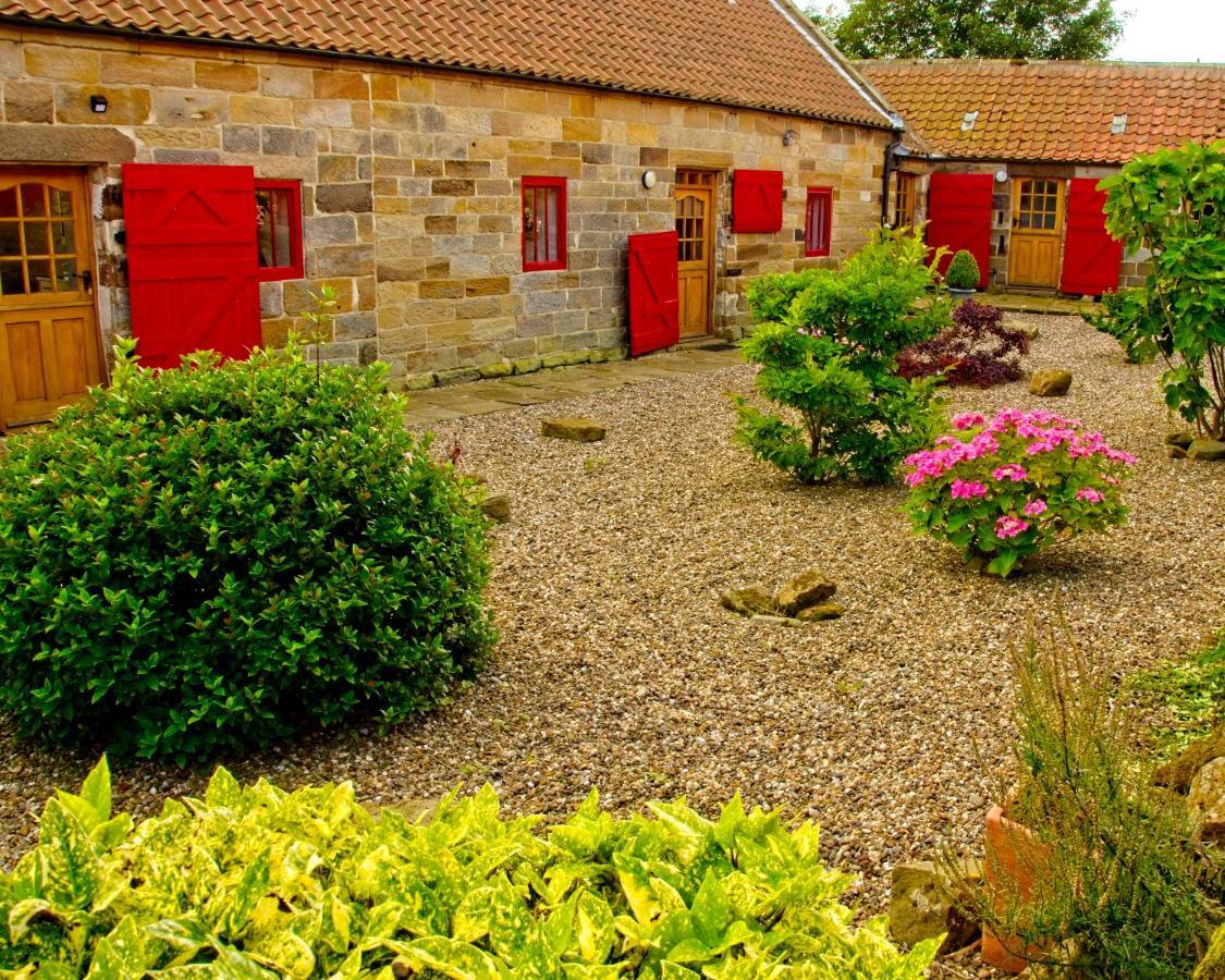 Spangle Cottage, Borrowby Farm Cottages Staithes Buitenkant foto