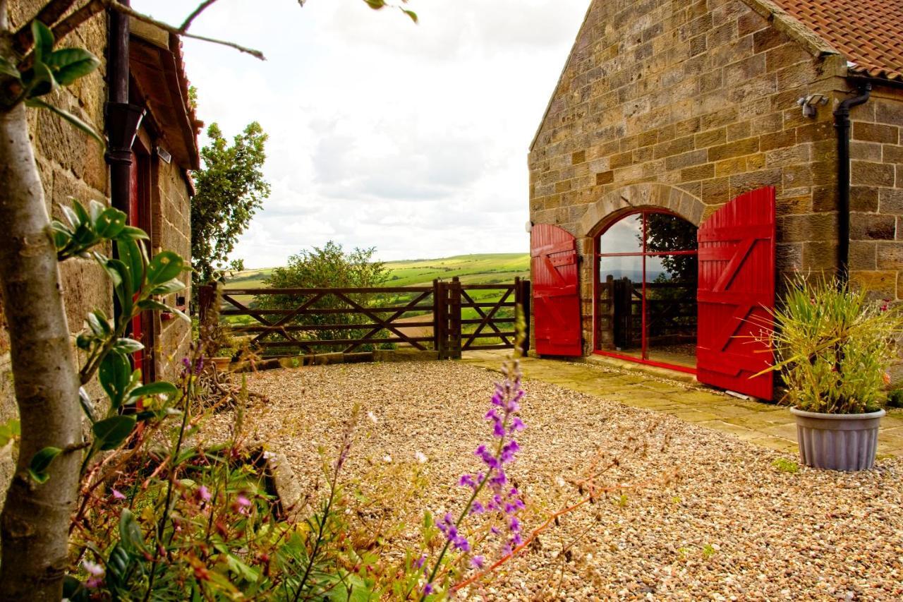Spangle Cottage, Borrowby Farm Cottages Staithes Buitenkant foto