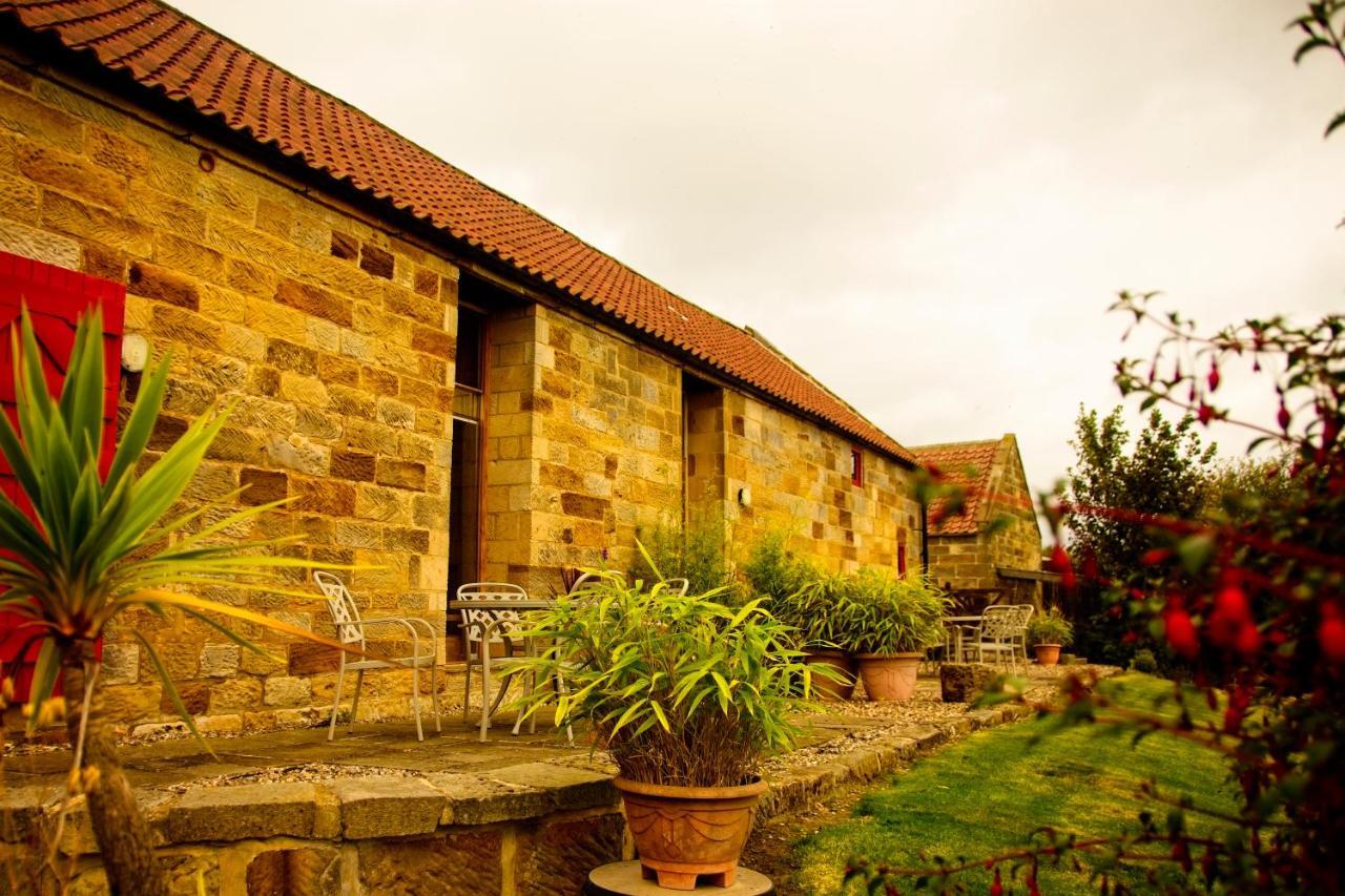 Spangle Cottage, Borrowby Farm Cottages Staithes Buitenkant foto